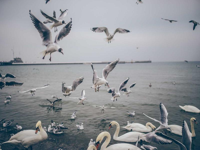 sudoku tips screenshot 4